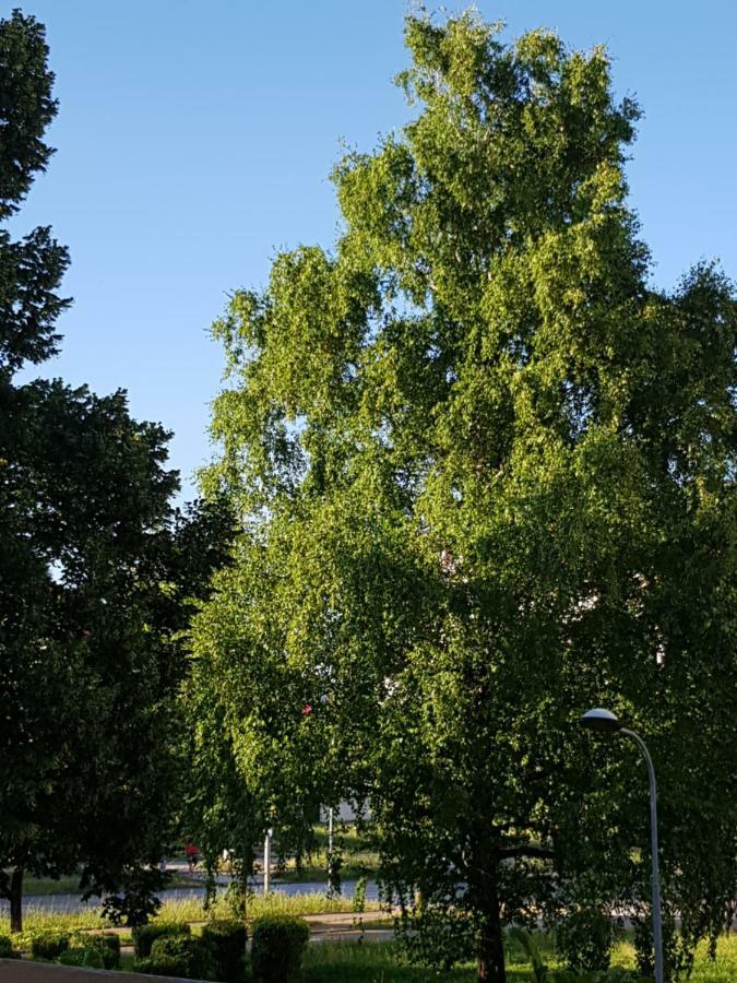 Apartman Tasa Banja Luka Exteriér fotografie